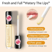 Lip Gloss Transparent Plumping Lip