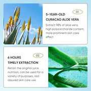 Lip Aloe Balm Nourishing